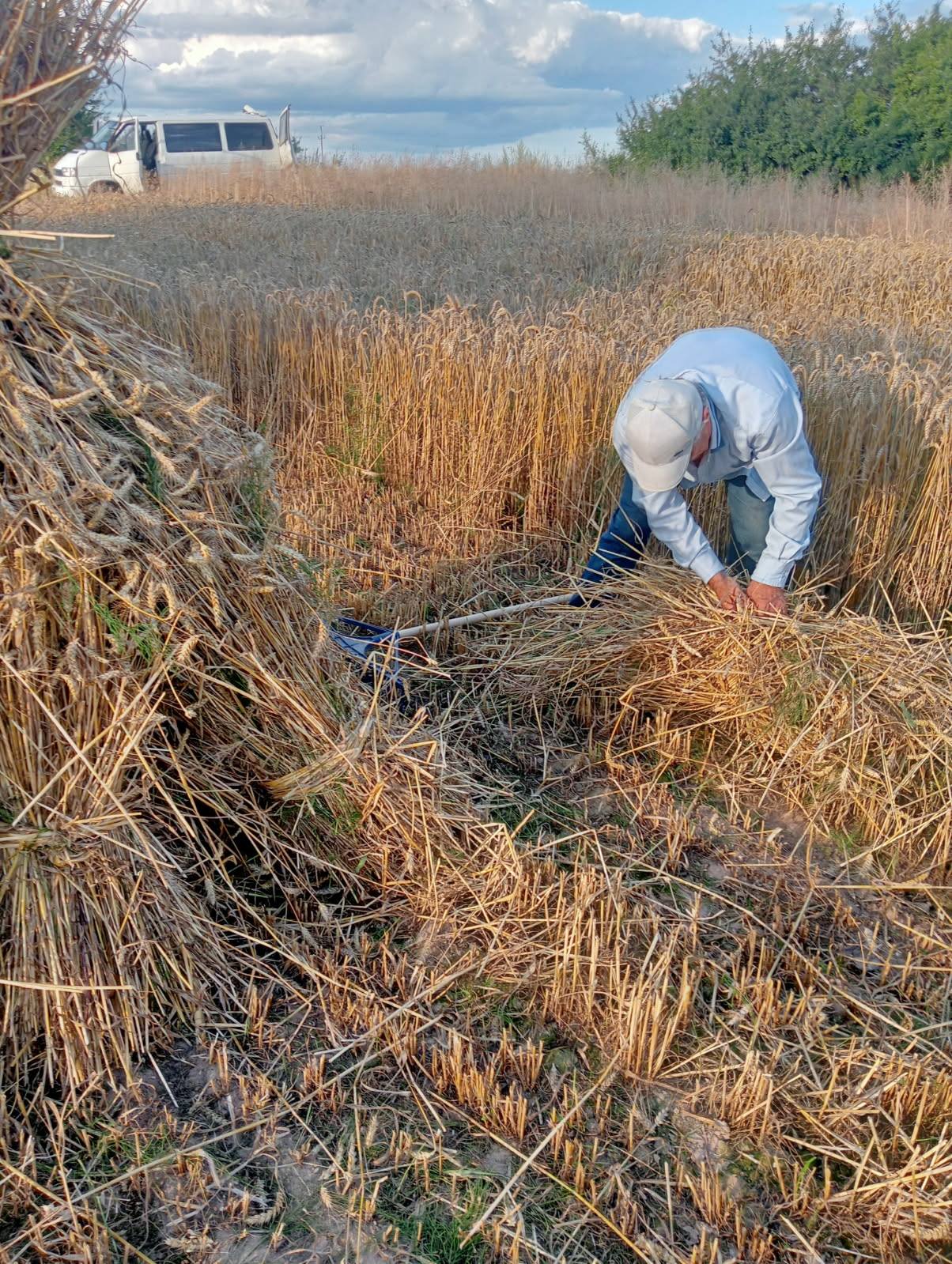 Zażynki w Rozięcinie 2025